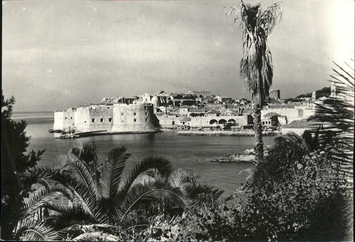 Dubrovnik Ragusa Panorama