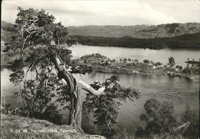 Telemarken Fra Haukelifjell