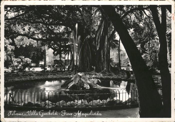 Palermo Sicilia Villa Garibaldi Ficus Magnolioides