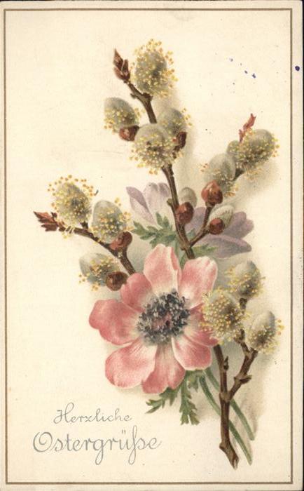 Ostern Easter Paques Weidenkätzchen Blume