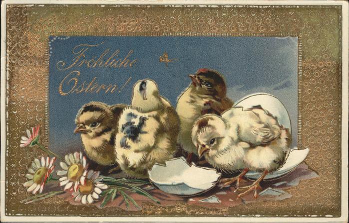 Ostern Easter Paques Küken Margeriten