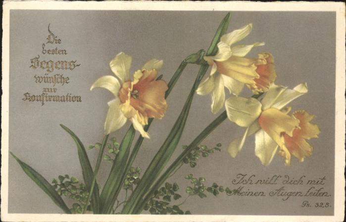 Konfirmation Narzissen Glückwunsch