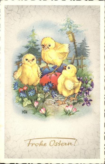 Ostern Easter Paques Küken Ostereier Blumen