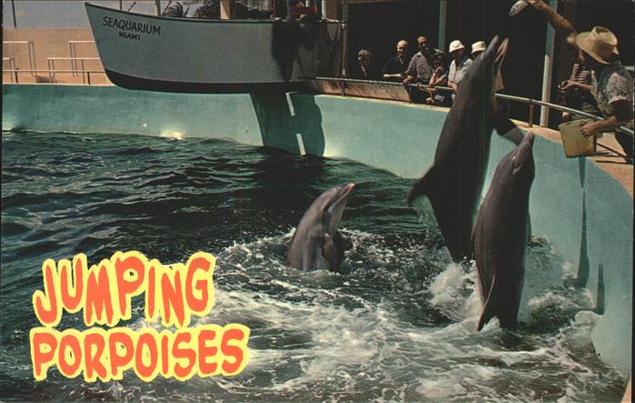 Delfine Delphine Dolphins Dauphins Delfi Seaquarium Miami Florida jumping porpoi