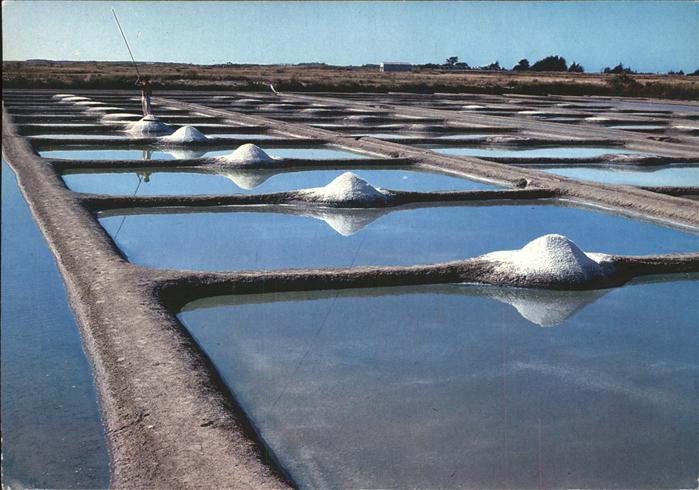 Salzgewinnung Noirmoutier Vendee Marais salants