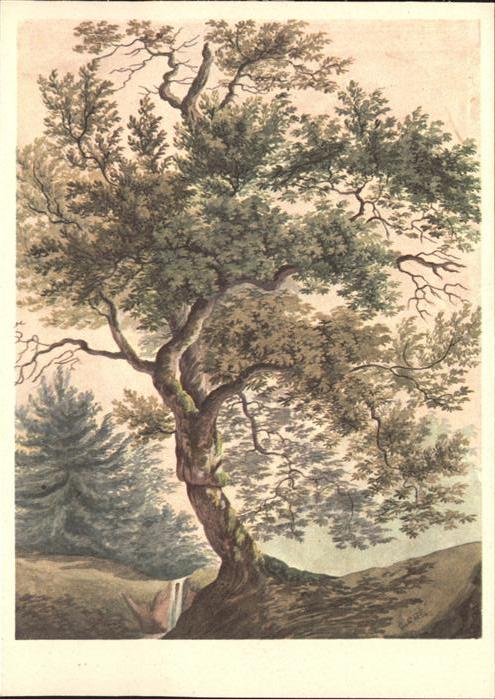 KELLER Gottfried Zuerich (1819-1890) Kuenstlerkarte Eiche Baum