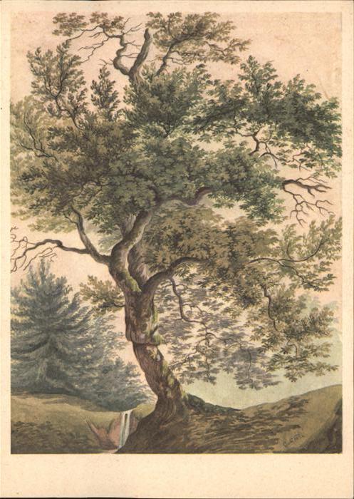 KELLER Gottfried Zuerich (1819-1890) Kuenstlerkarte Eiche Chene Quercia Baum