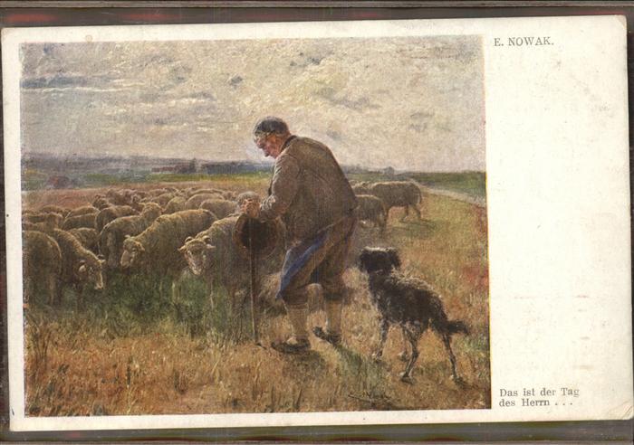 Hirte Schafe Hund Künstlerkarte E. Nowak