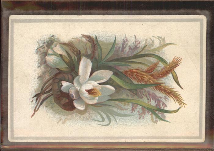 Blumen