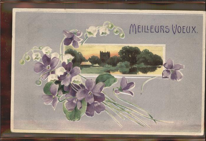 Blumen Veilchen