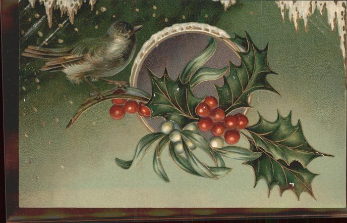 Voegel Birds Oiseaux Uccelli Pajaros-- Weihnachtszweig