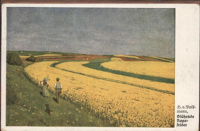Kuenstlerkarte H.v.Volkmann Blühende Rapsfelder Landwi