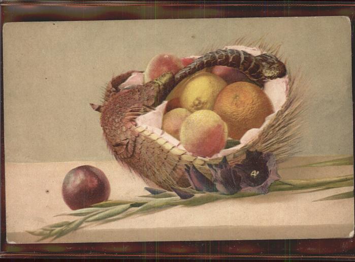 Obst Orange Zitrone Pfirsich Pflaume