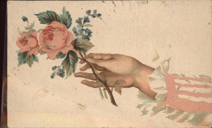 Rosen