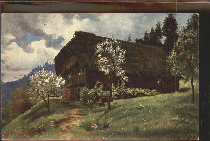 Hoffmann Heinrich Nr. 177 Schwarzwaldhaus Frühling