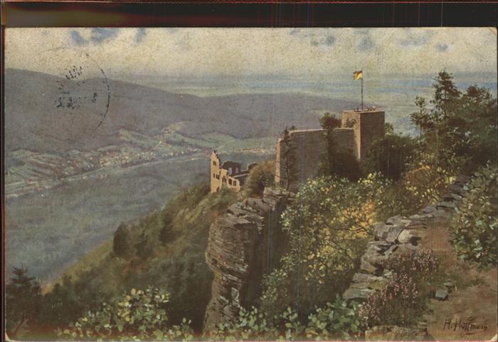 Hoffmann Heinrich Nr. 41 Baden-Baden Altes Schloss