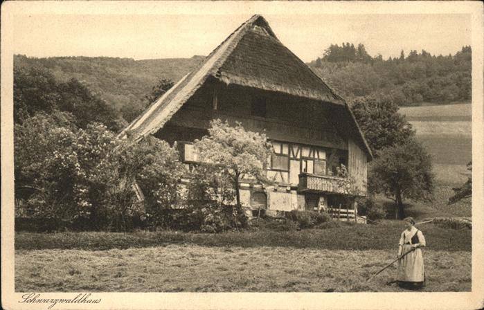 Schwarzwaldhaeuser Kupfertiefdruck