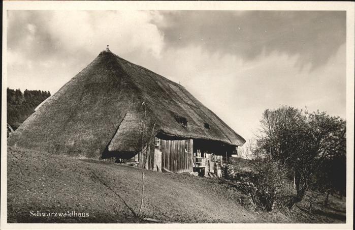 Schwarzwaldhaeuser