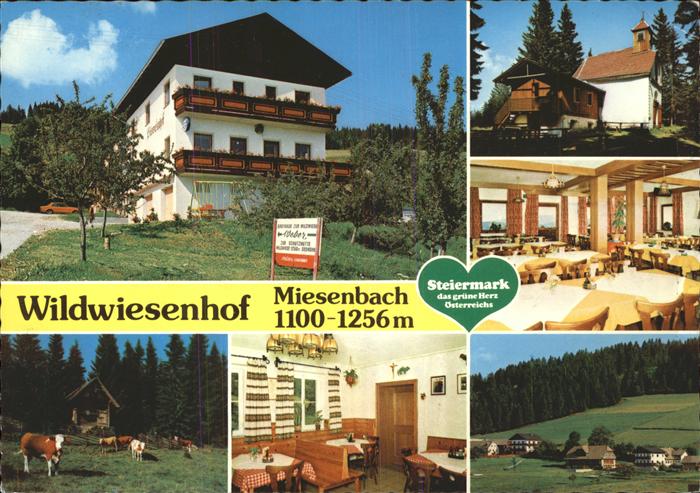 Miesenbach Birkfeld Gasthof Pension Wildwiesenhof Urlaub auf dem Bauernhof Viehw