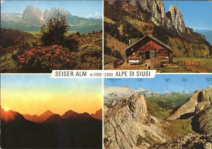 Seis Schlern Seiser Alm Alpe di Siusi Dolomiten Abendstimmung Alpenblumen