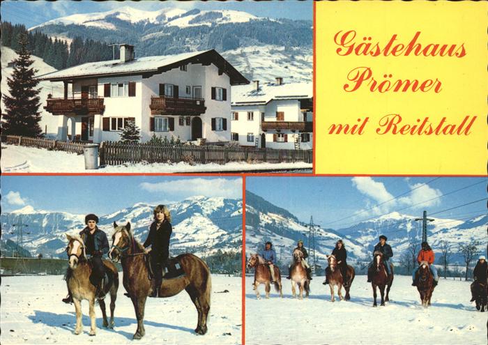 Jochberg Gaestehaus Proemer mit Reitstall Pferde Ausritt im Schnee