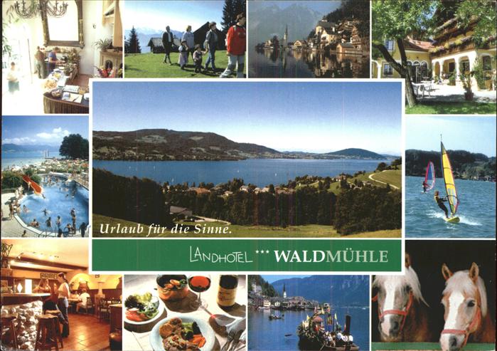 Strass Attergau Landhotel Waldmuehle Attersee Wassersport Windsurfing Pferd
