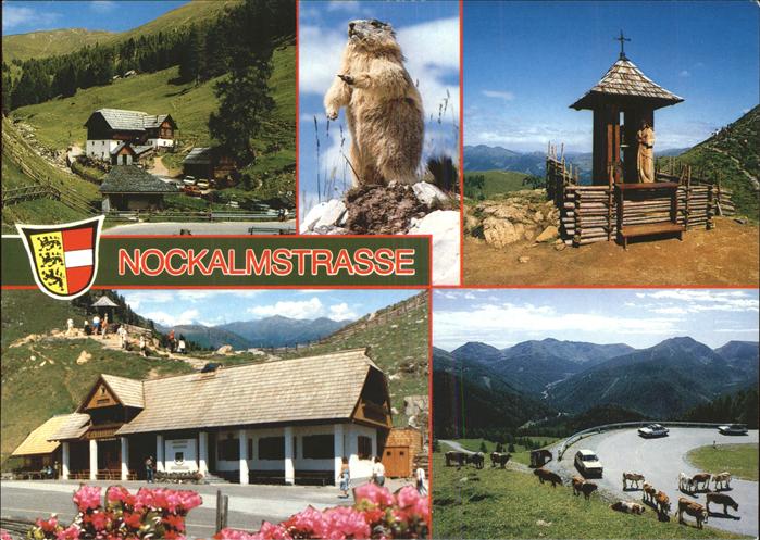 Innerkrems Krems Kaernten Nationalpark Nockalmstrasse Murmeltier Wegekreuz Wappe