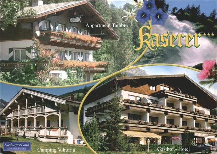 Wald Pinzgau Gasthof Hotel Kaserer Camping Wasserfall Alpenblumen Enzian Edelwei
