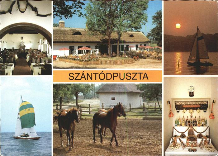 Szantod Szantodpuszta Balaton Abendstimmung am Plattensee Segelboot Pferd