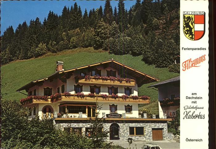Filzmoos Gaestehaus Hubertus am Dachstein Wappen