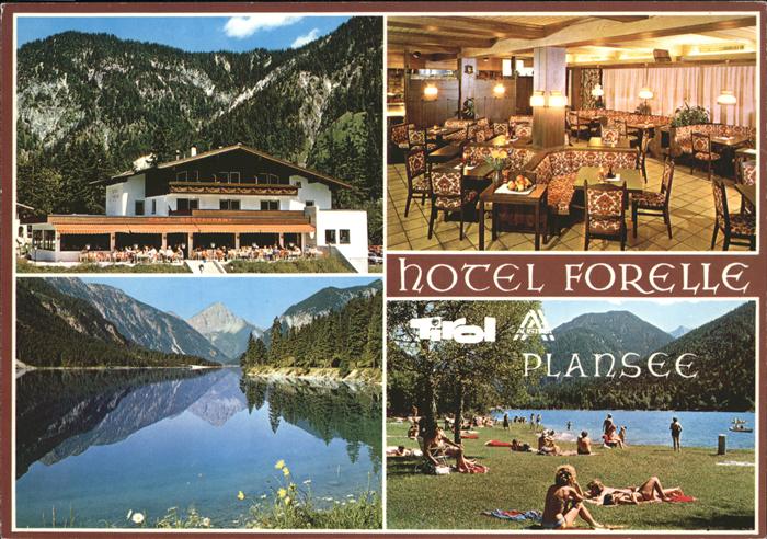 Plansee Hotel Forelle Strand