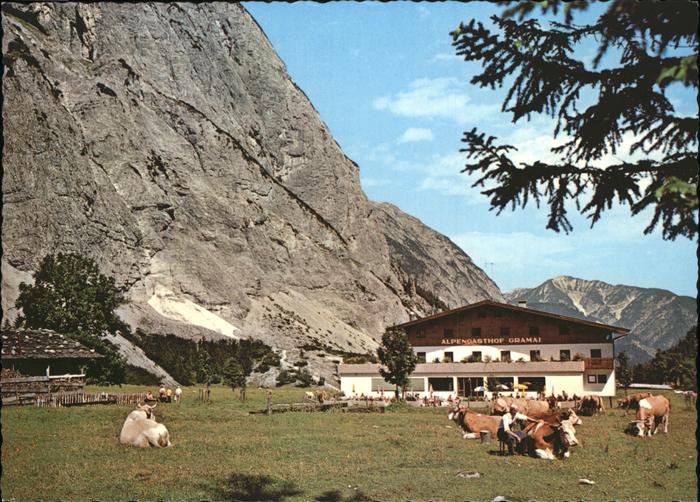 Pertisau Achensee Alpengasthof Gramai Kuh Viehweide Karwendelgebirge