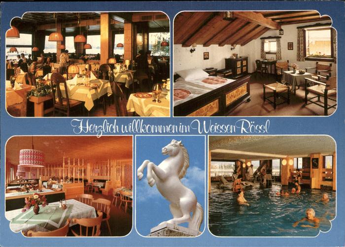 St Wolfgang Wolfgangsee Hotel Restaurant Weisses Roessl Pferd Skulptur Schwimmba