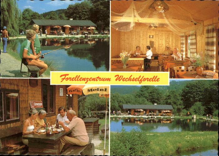 Trattenbach Forellenzentrum Wechselforelle Forellenteich