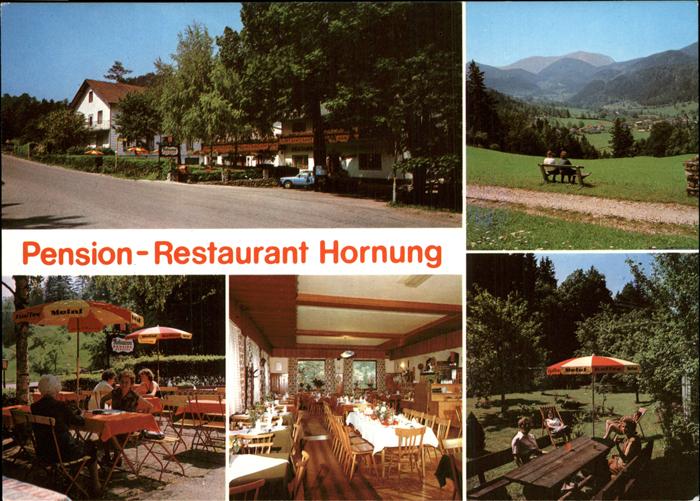 Miesenbach Niederoesterreich Pension Restaurant Hornung Schneeberggebiet