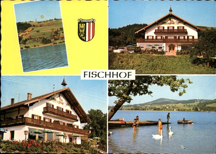 Oberhofen Irrsee Gasthof Pension Fischhof Badestrand Schwan Wappen