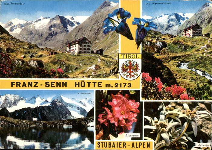 Fulpmes Tirol Franz Senn Huette Stubaier Alpen Schandele Alpeinerkamm Edelweiss