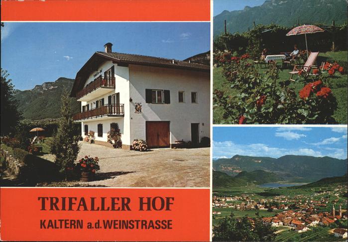 Kaltern Weinstrasse Tirol Trifaller Hof Weinberg