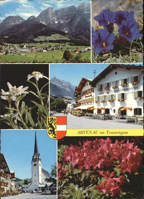 Abtenau Panorama Lammertal Alpenblumen Enzian Edelweiss Alpenrose Kirche Gasthof