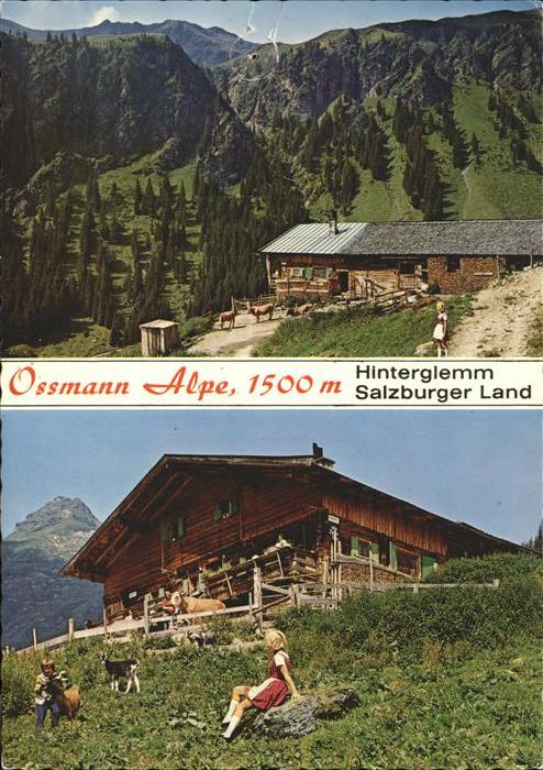Hinterglemm Saalbach Ossmann Alpe mit Hochtorsattel Saalwaende Tristkogel Ziege