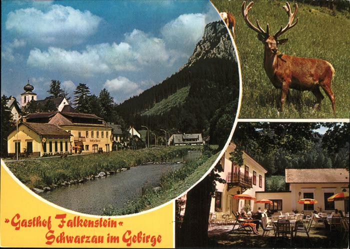 Schwarzau Gebirge Gasthof Falkensteig