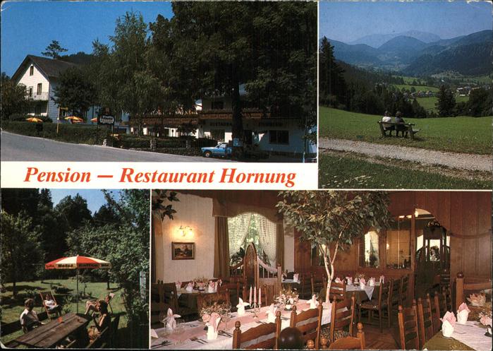 Miesenbach Niederoesterreich Pension-Restaurant-Hornung