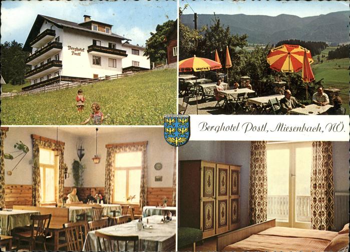 Frohnberg Miesenbach Berghotel Postl