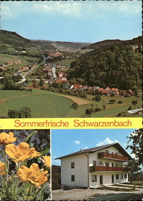 Schwarzenbach Niederoesterreich Haus Bucheneck
