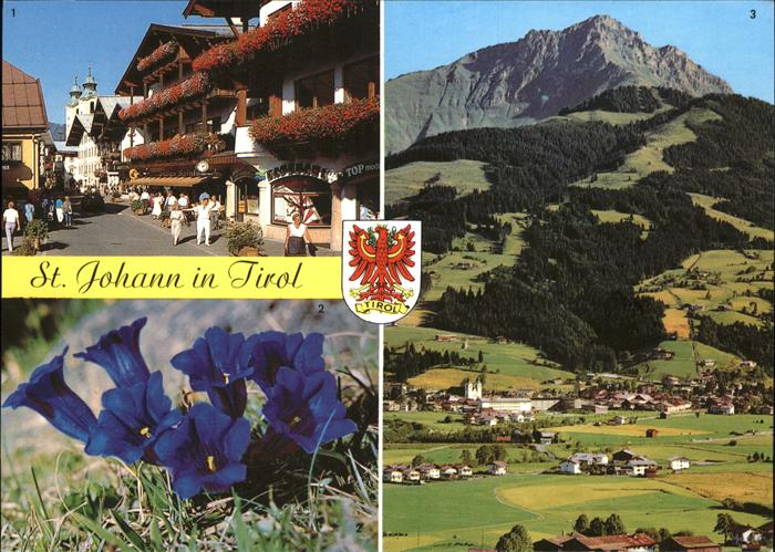 Sankt Johann Tirol Panorama mit Kitzbueheler Horn Spechbacherstrasse Enzian