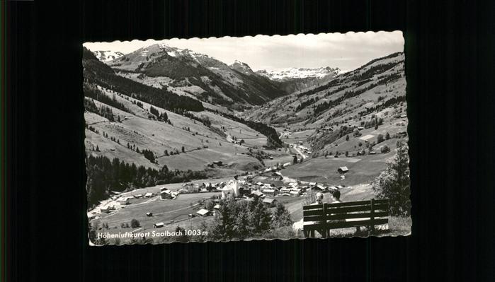 Saalbach-Hinterglemm Panorama Berge