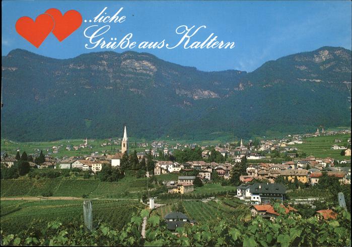 Kaltern Weinstrasse Tirol Panorama Suedtiroler Weinstrasse