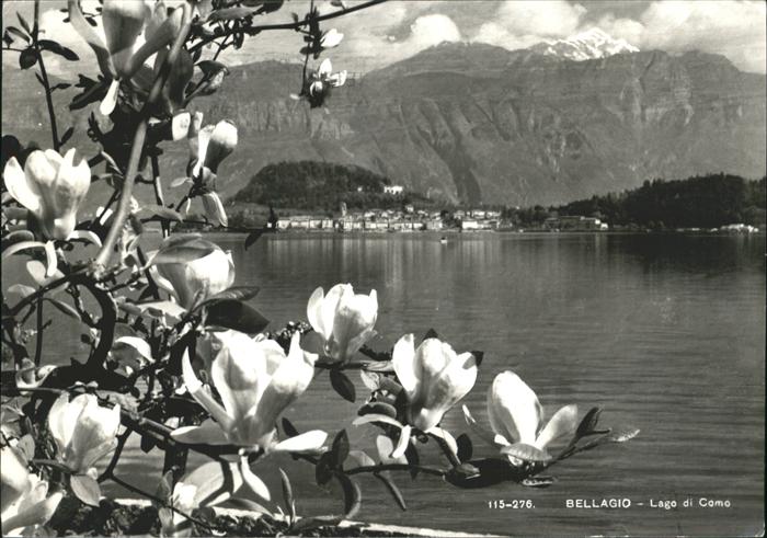 Bellagio Lago di Como Panorama See