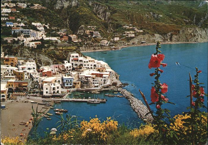 Sant Angelo Ischia Panorama
