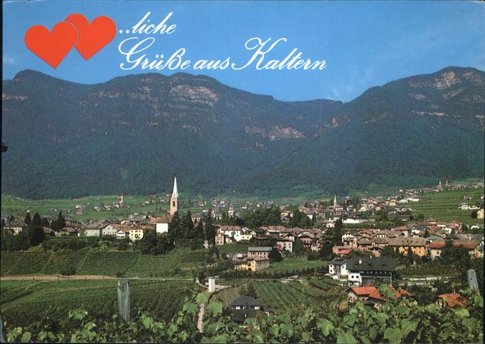 Kaltern Weinstrasse Tirol Panorama Wein
